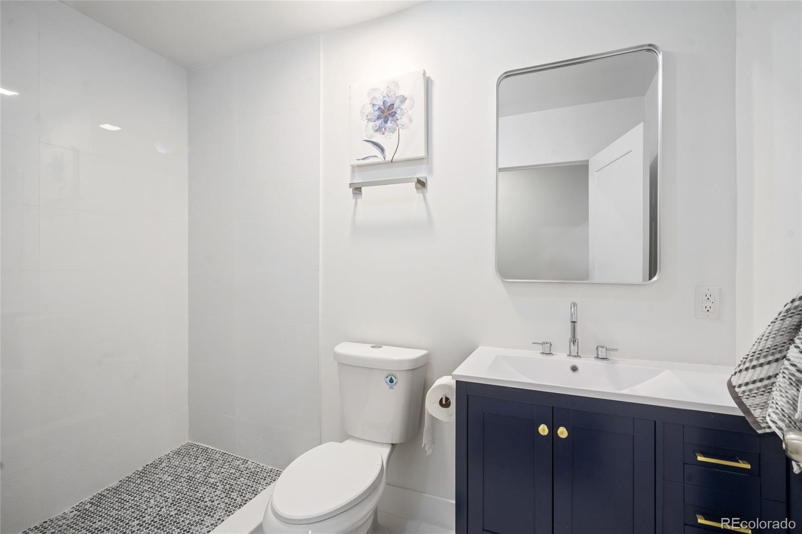 3242 N Albion Street Denver, CO 80207